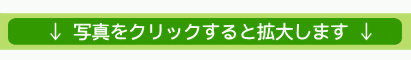 写真をクリックすると拡大します